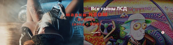 тгк Касимов