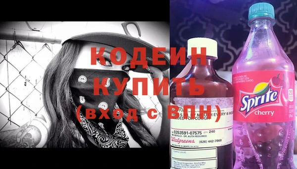 мдпв Инта
