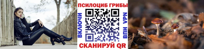 KRAKEN ONION  Макарьев  Псилоцибиновые грибы ЛСД 