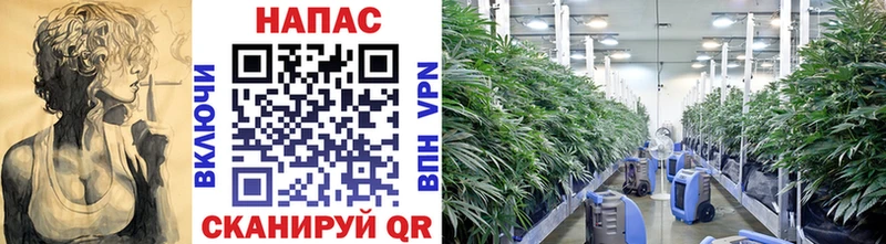 купить наркотик  Макарьев  Бошки марихуана Ganja 